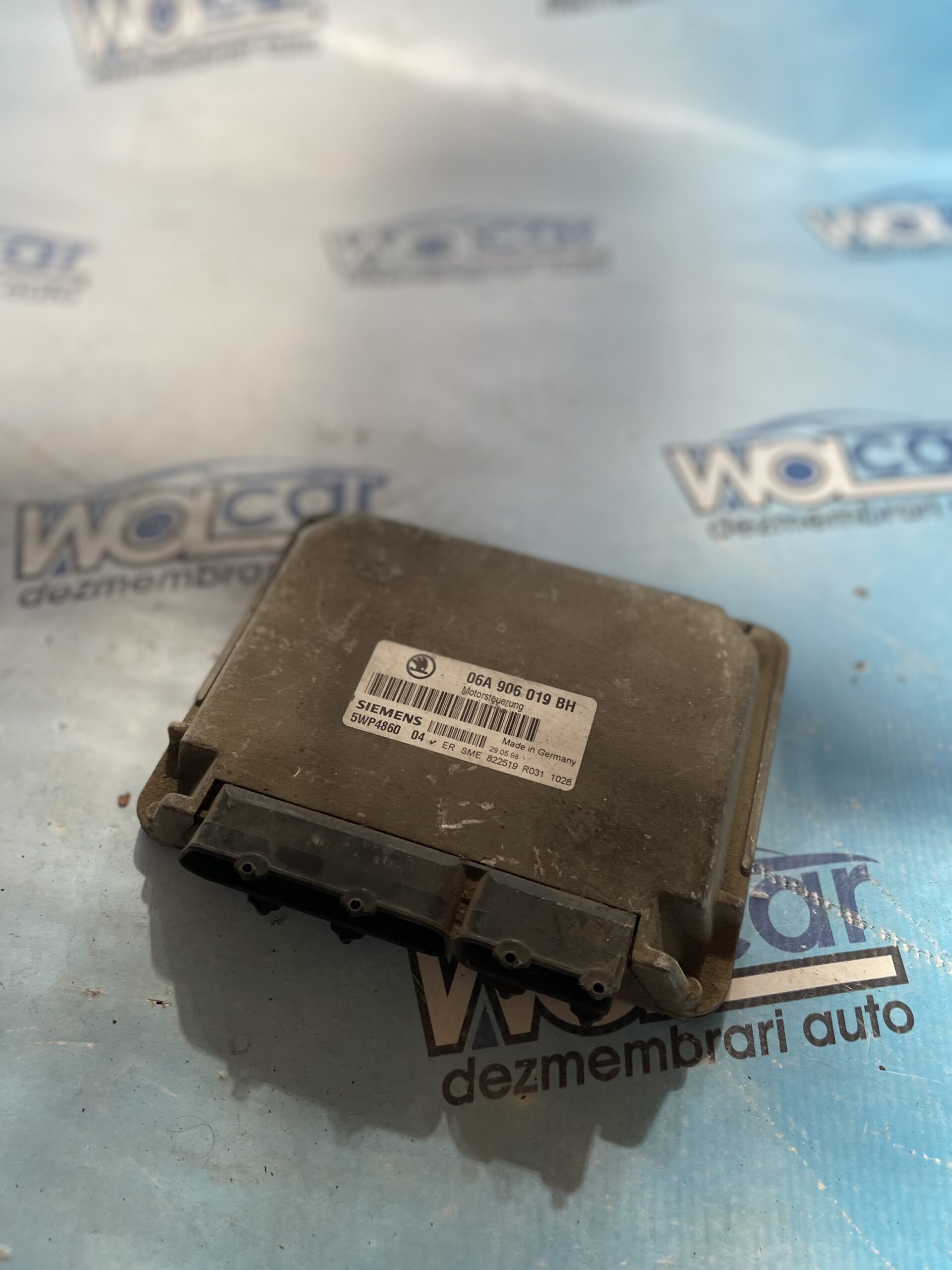 IMG_7372