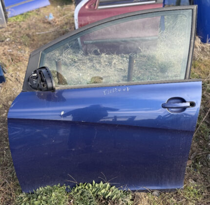 Usa stanga fata Seat Toledo 2007
